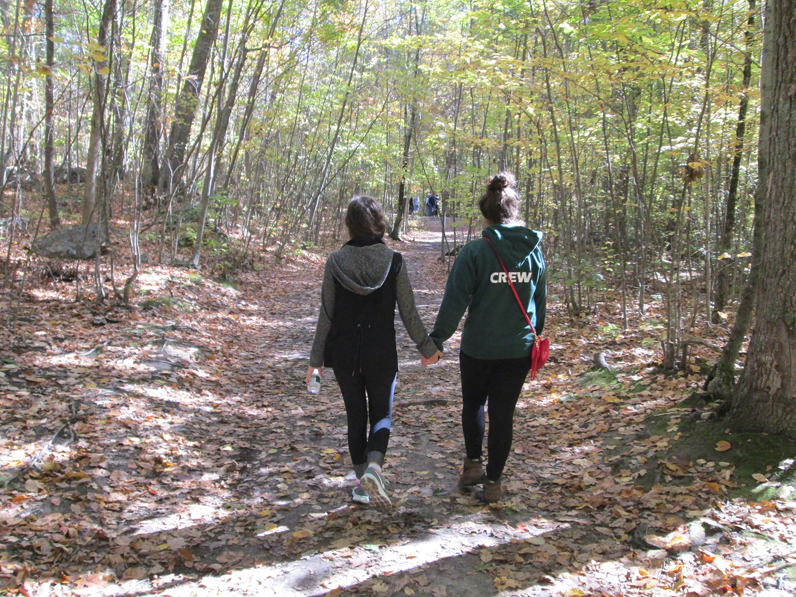 Purgatory Chasm